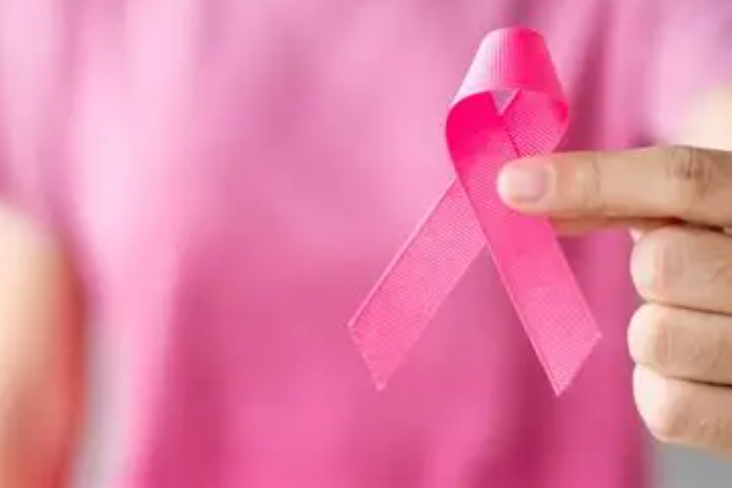 Edukativno predavanje o prevenciji raka dojke u Vlaislavu