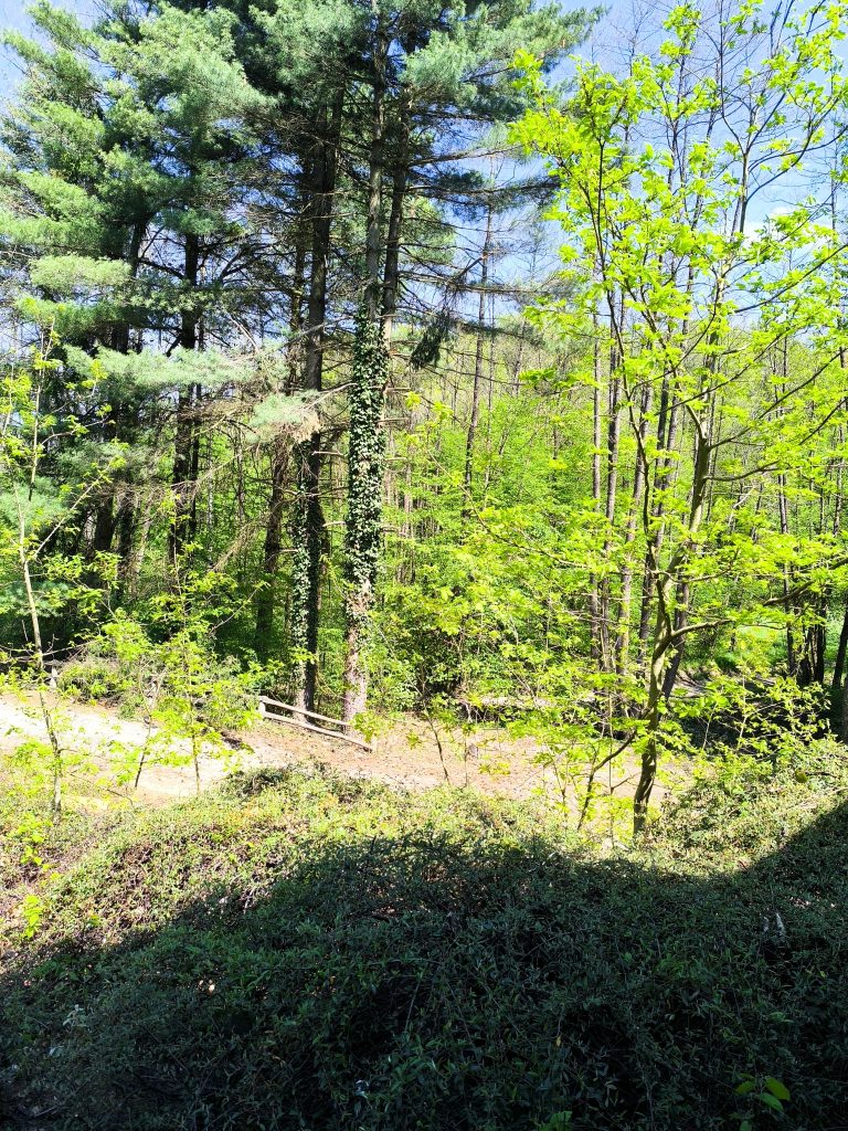 Održan susret onkoloških bolesnika 